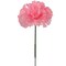 Box of 100: Gender Reveal Carnation Picks, 5" Long, 3.5" Wide, Silk Flowers, Floral Picks, for Arrangements, Centerpieces, & Crafts by Floral Home®